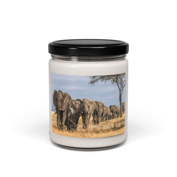 10268CA - Candles 9oz - 10 Different Scents - Image 8