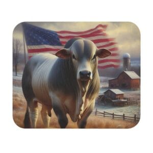 Bull with American flag and barn background.