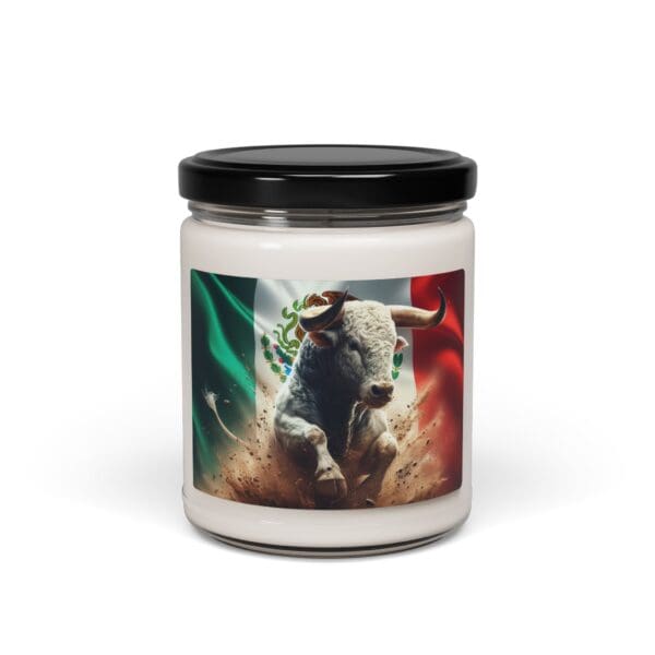 40216CA - Candles 9oz - 10 Different Scents - Mexico - Image 8