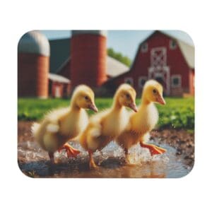 Three ducklings walking in front of barn.