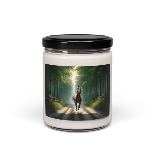 50503CA - Candles 9oz - 10 Different Scents - Image 8