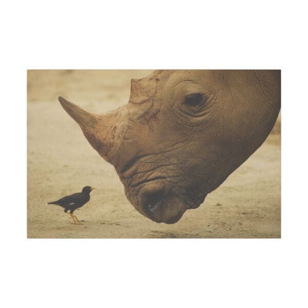 10107 - Rhino Birdwatch - Canvas, Stretched Ready to Hang. - Image 3