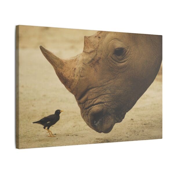 10107 - Rhino Birdwatch - Canvas, Stretched Ready to Hang. - Image 8