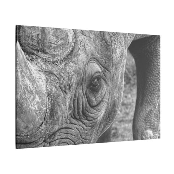10111 - Rhino Up Close II - Canvas, Stretched Ready to Hang. - Image 4