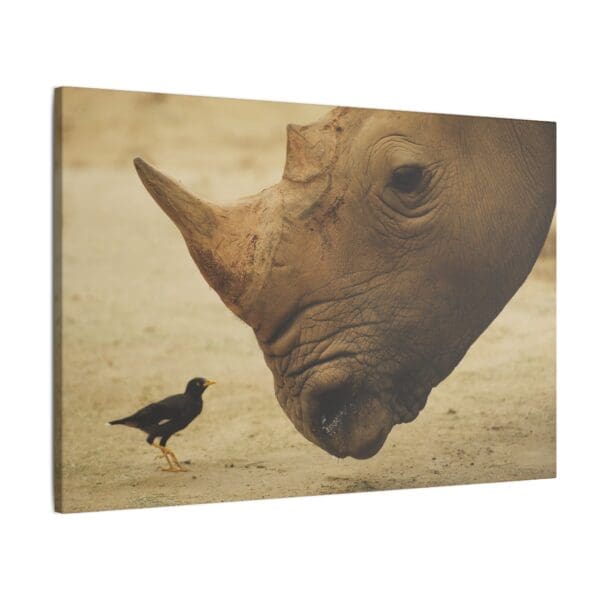 10107 - Rhino Birdwatch - Canvas, Stretched Ready to Hang. - Image 10