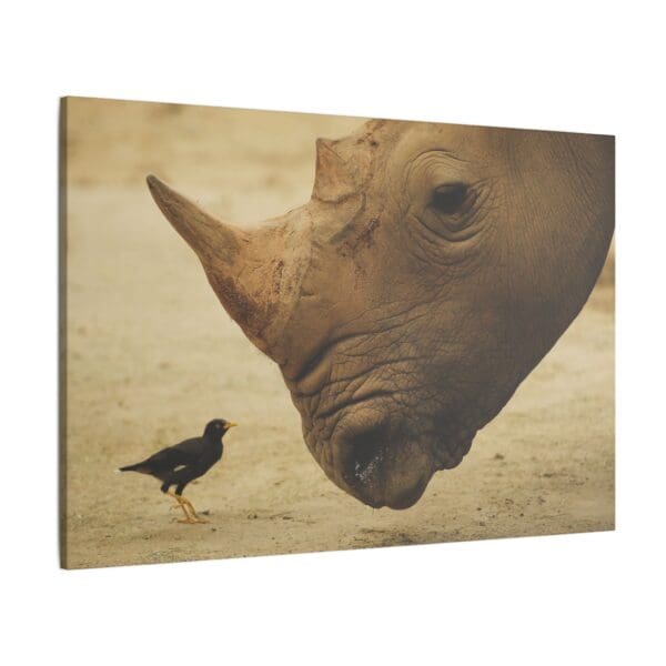 10107 - Rhino Birdwatch - Canvas, Stretched Ready to Hang. - Image 2