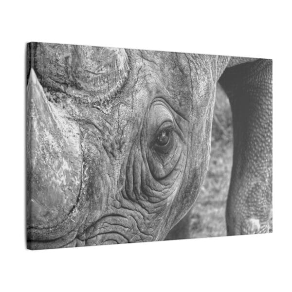 10111 - Rhino Up Close II - Canvas, Stretched Ready to Hang. - Image 8