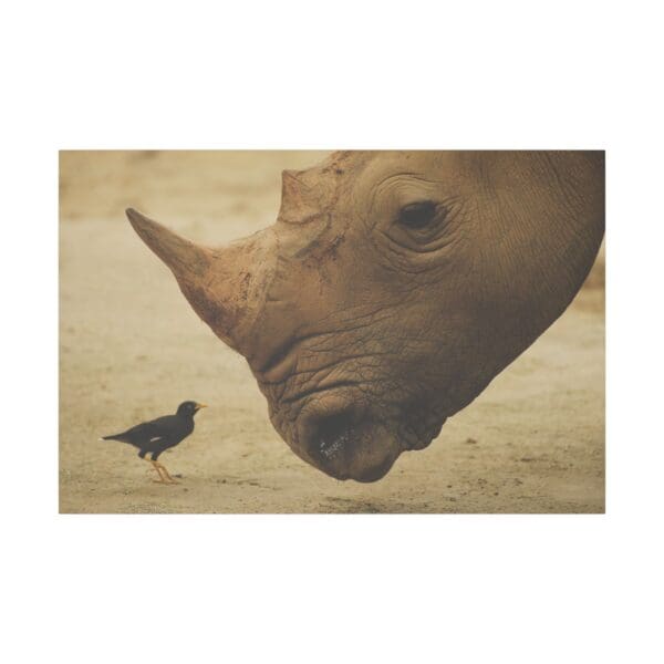10107 - Rhino Birdwatch - Canvas, Stretched Ready to Hang. - Image 5