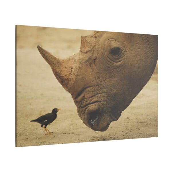10107 - Rhino Birdwatch - Canvas, Stretched Ready to Hang. - Image 6