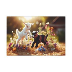 Goat kids playing in a flower field.