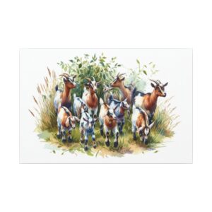 Group of goats standing in grassy area.