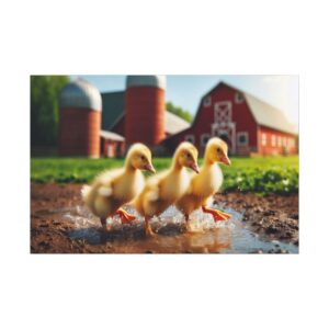 Three ducklings walking near red barn.